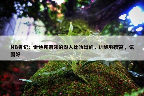 NB名记：雷迪克带领的湖人比哈姆的，训练强度高，氛围好