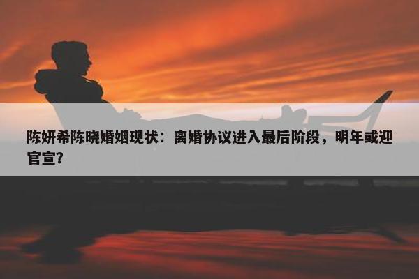 陈妍希陈晓婚姻现状：离婚协议进入最后阶段，明年或迎官宣？