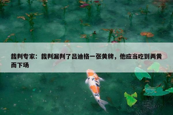 裁判专家：裁判漏判了吕迪格一张黄牌，他应当吃到两黄而下场