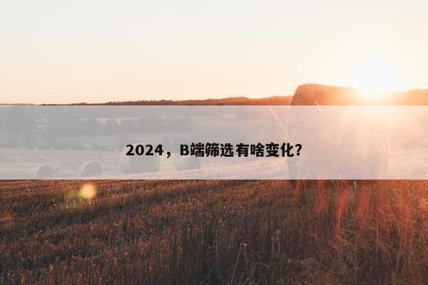 2024，B端筛选有啥变化？