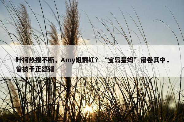 叶柯热搜不断，Amy姐翻红？“宝岛星妈”错卷其中，曾被于正怒锤