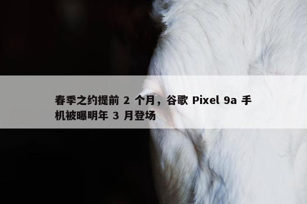 春季之约提前 2 个月，谷歌 Pixel 9a 手机被曝明年 3 月登场