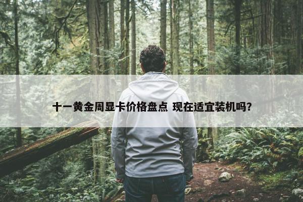 十一黄金周显卡价格盘点 现在适宜装机吗？