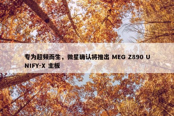 专为超频而生，微星确认将推出 MEG Z890 UNIFY-X 主板