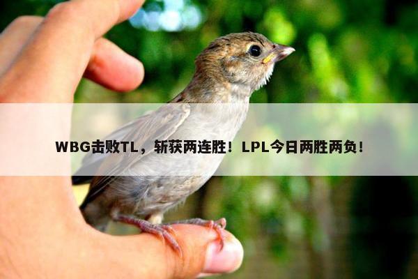 WBG击败TL，斩获两连胜！LPL今日两胜两负！