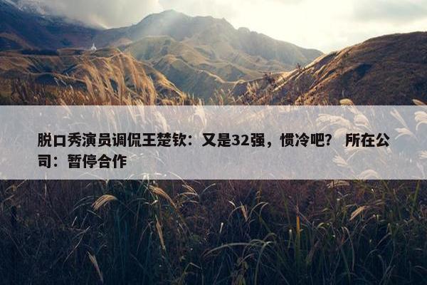 脱口秀演员调侃王楚钦：又是32强，惯冷吧？ 所在公司：暂停合作