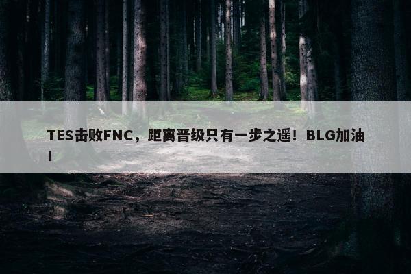 TES击败FNC，距离晋级只有一步之遥！BLG加油！