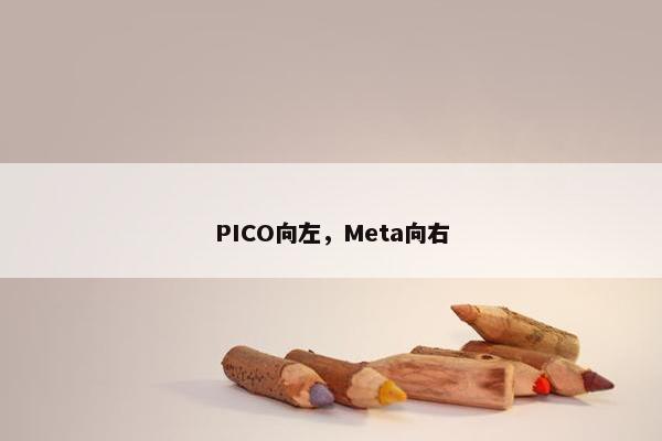 PICO向左，Meta向右