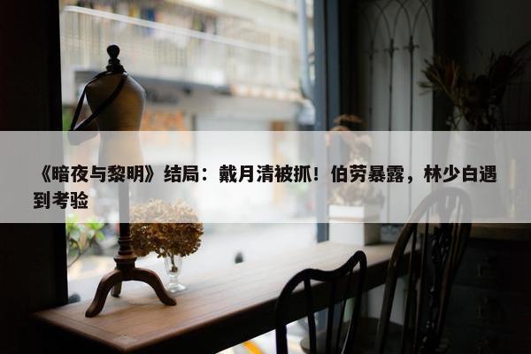 《暗夜与黎明》结局：戴月清被抓！伯劳暴露，林少白遇到考验