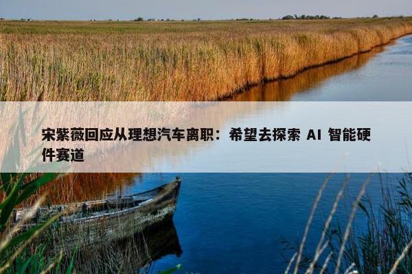 宋紫薇回应从理想汽车离职：希望去探索 AI 智能硬件赛道