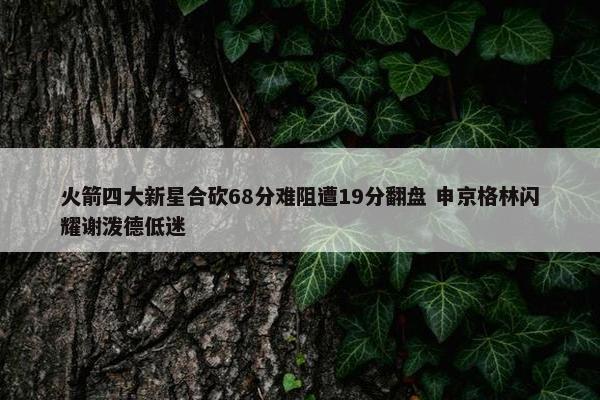 火箭四大新星合砍68分难阻遭19分翻盘 申京格林闪耀谢泼德低迷