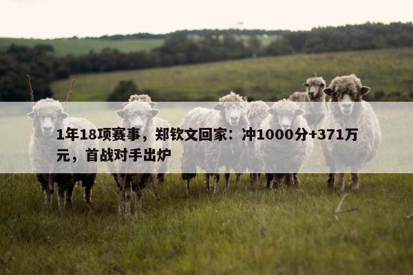 1年18项赛事，郑钦文回家：冲1000分+371万元，首战对手出炉