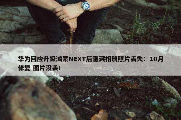 华为回应升级鸿蒙NEXT后隐藏相册照片丢失：10月修复 图片没丢！