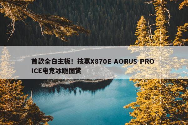 首款全白主板！技嘉X870E AORUS PRO ICE电竞冰雕图赏