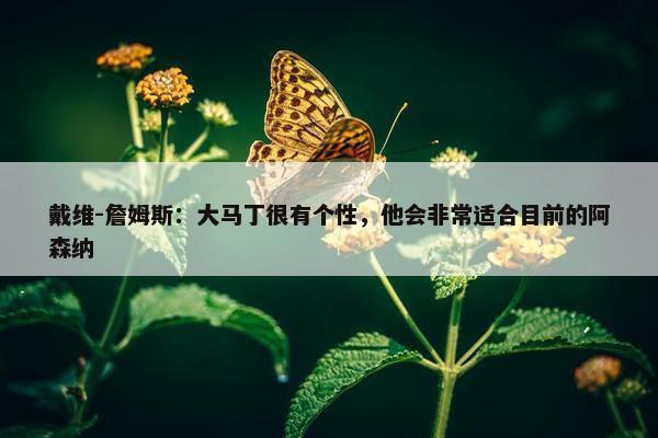 戴维-詹姆斯：大马丁很有个性，他会非常适合目前的阿森纳