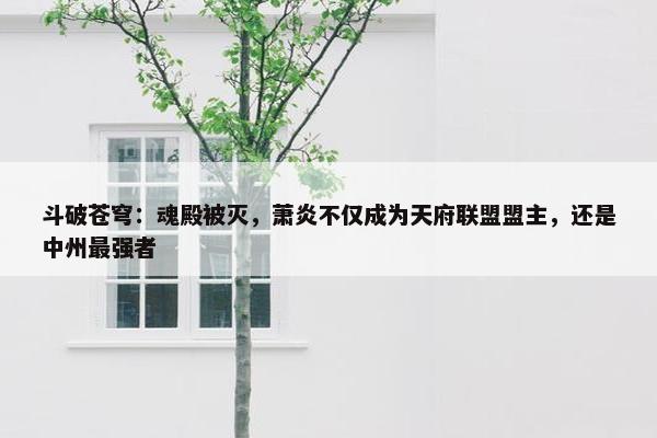 斗破苍穹：魂殿被灭，萧炎不仅成为天府联盟盟主，还是中州最强者