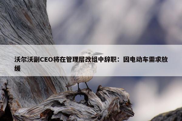 沃尔沃副CEO将在管理层改组中辞职：因电动车需求放缓