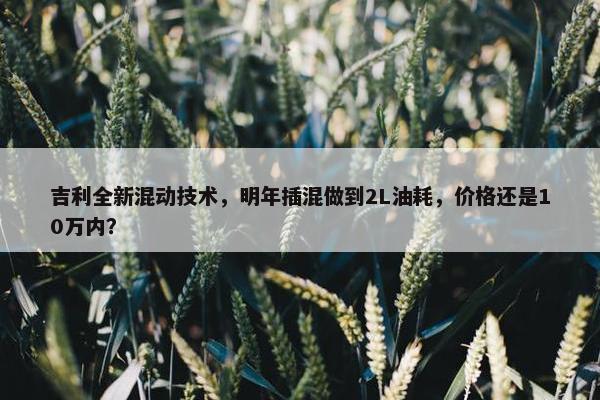 吉利全新混动技术，明年插混做到2L油耗，价格还是10万内？