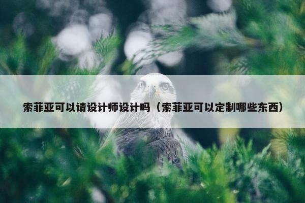 索菲亚可以请设计师设计吗（索菲亚可以定制哪些东西）