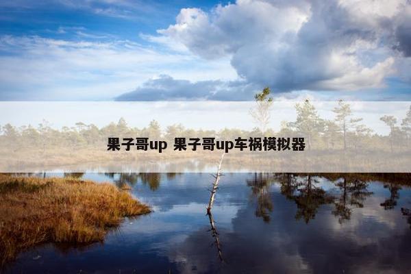 果子哥up 果子哥up车祸模拟器