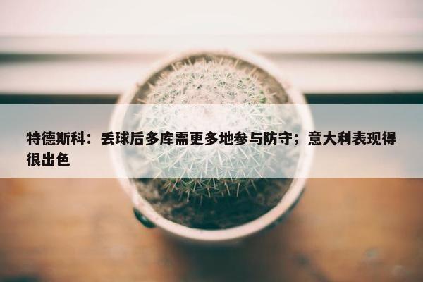 特德斯科：丢球后多库需更多地参与防守；意大利表现得很出色