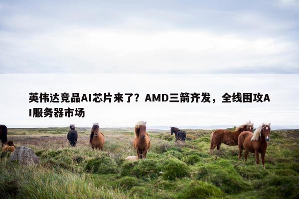 英伟达竞品AI芯片来了？AMD三箭齐发，全线围攻AI服务器市场