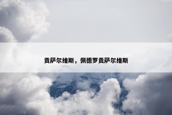 贡萨尔维斯，佩德罗贡萨尔维斯