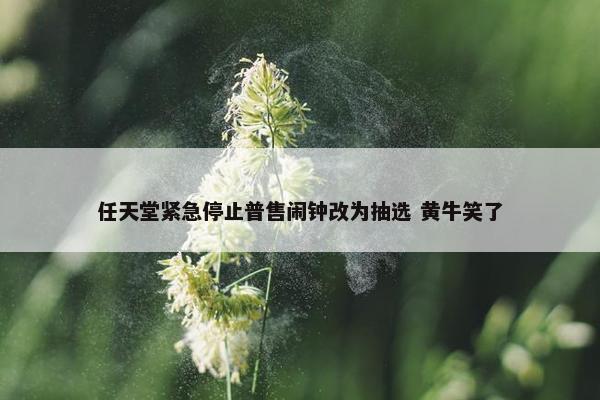 任天堂紧急停止普售闹钟改为抽选 黄牛笑了