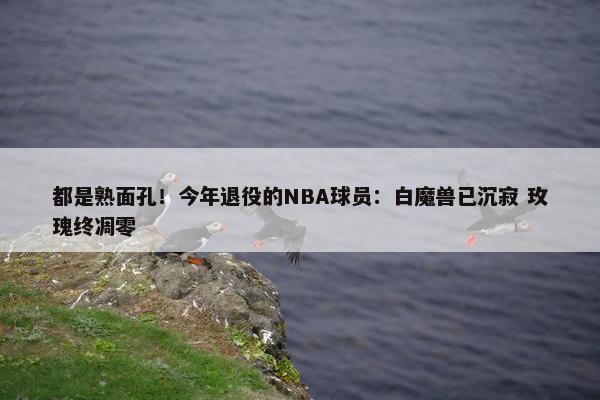 都是熟面孔！今年退役的NBA球员：白魔兽已沉寂 玫瑰终凋零