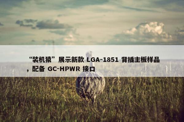 “装机猿”展示新款 LGA-1851 背插主板样品，配备 GC-HPWR 接口