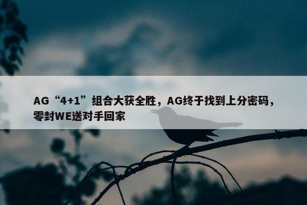 AG“4+1”组合大获全胜，AG终于找到上分密码，零封WE送对手回家