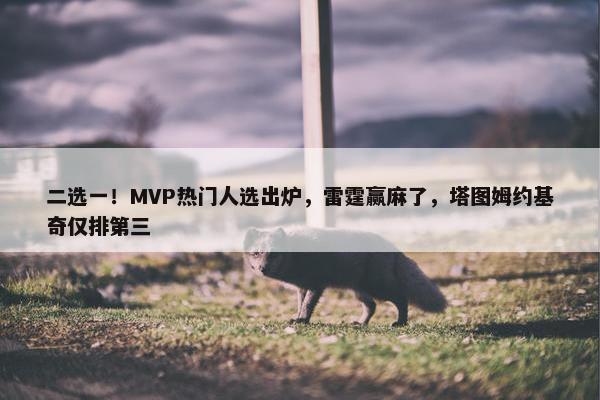 二选一！MVP热门人选出炉，雷霆赢麻了，塔图姆约基奇仅排第三