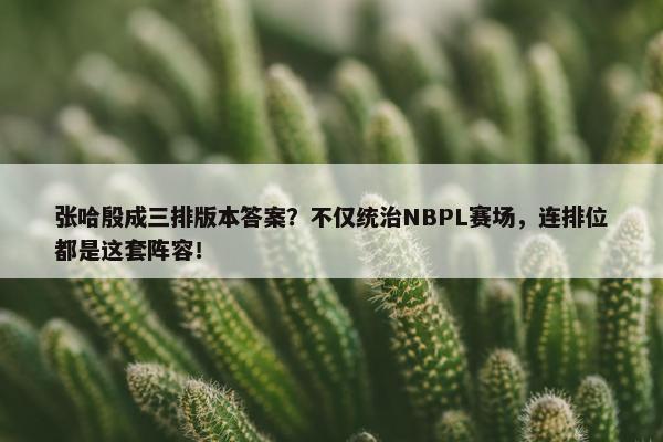 张哈殷成三排版本答案？不仅统治NBPL赛场，连排位都是这套阵容！