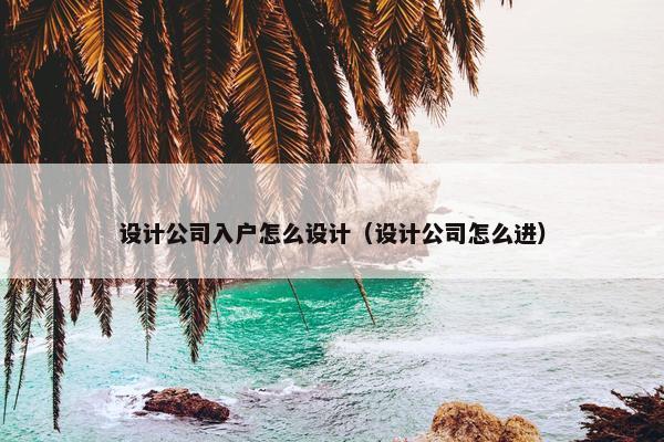 设计公司入户怎么设计（设计公司怎么进）