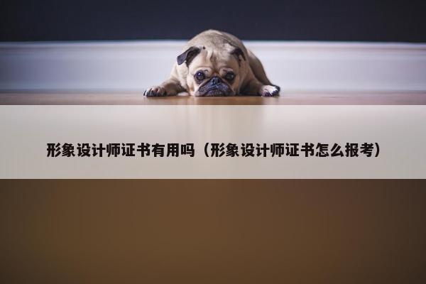 形象设计师证书有用吗（形象设计师证书怎么报考）