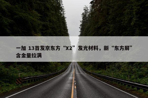 一加 13首发京东方“X2”发光材料，新“东方屏”含金量拉满