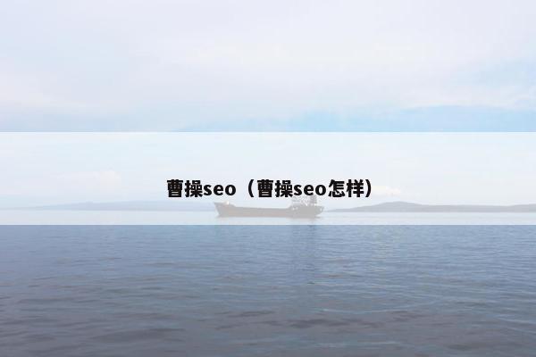 曹操seo（曹操seo怎样）