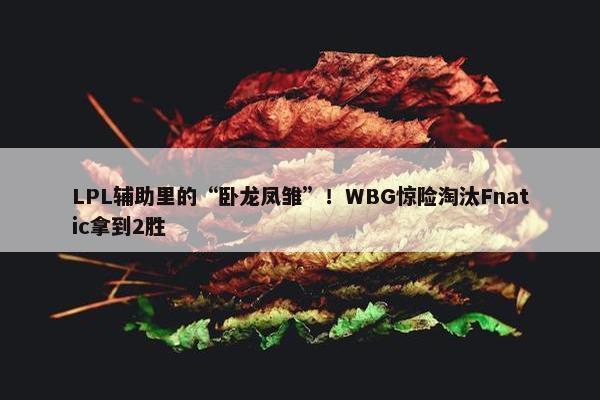 LPL辅助里的“卧龙凤雏”！WBG惊险淘汰Fnatic拿到2胜