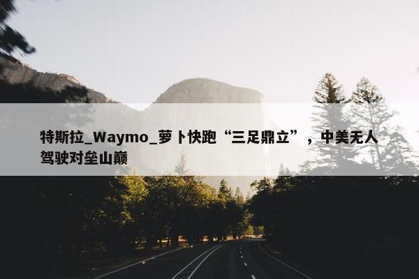 特斯拉_Waymo_萝卜快跑“三足鼎立”，中美无人驾驶对垒山巅