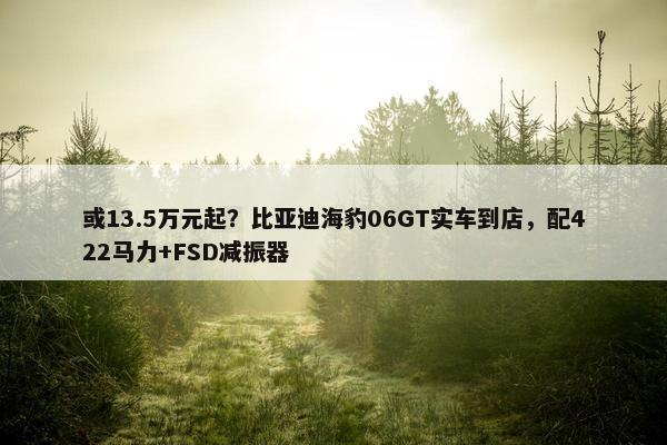 或13.5万元起？比亚迪海豹06GT实车到店，配422马力+FSD减振器