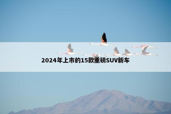 2024年上市的15款重磅SUV新车