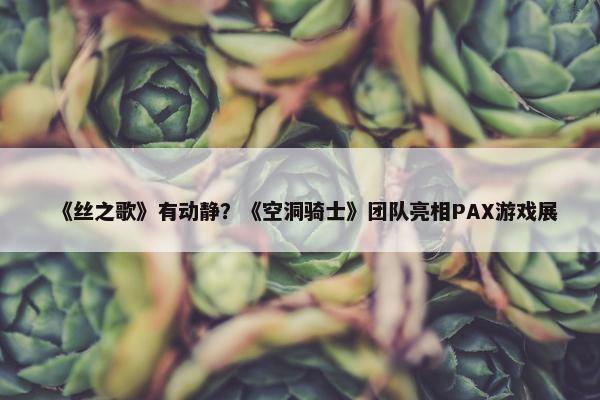 《丝之歌》有动静？《空洞骑士》团队亮相PAX游戏展