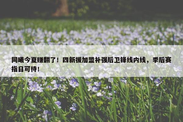 同曦今夏赚翻了！四新援加盟补强后卫锋线内线，季后赛指日可待！