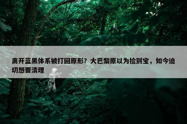 离开蓝黑体系被打回原形？大巴黎原以为捡到宝，如今迫切想要清理