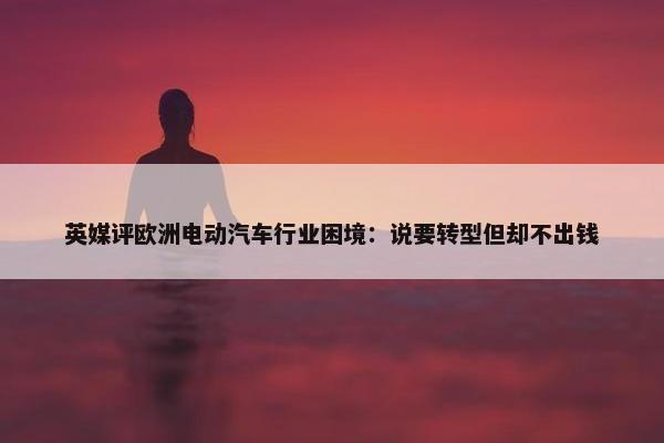 英媒评欧洲电动汽车行业困境：说要转型但却不出钱