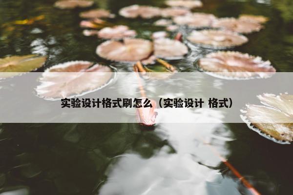 实验设计格式刷怎么（实验设计 格式）