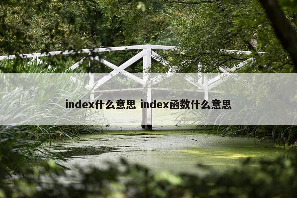 index什么意思 index函数什么意思