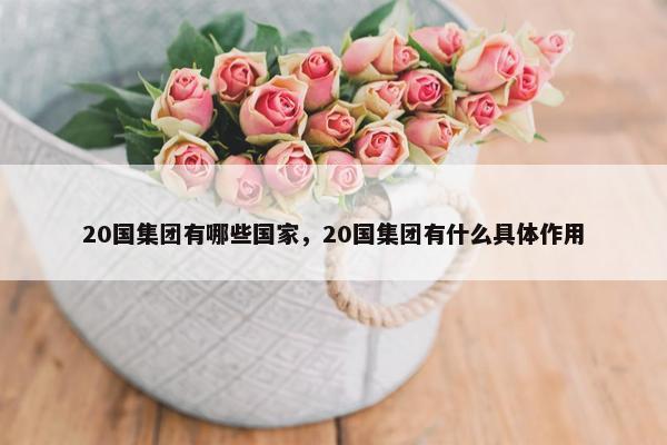 20国集团有哪些国家，20国集团有什么具体作用