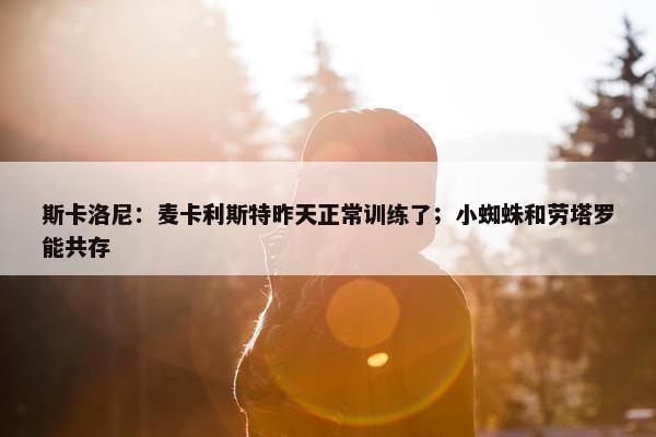 斯卡洛尼：麦卡利斯特昨天正常训练了；小蜘蛛和劳塔罗能共存