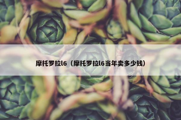 摩托罗拉l6（摩托罗拉l6当年卖多少钱）